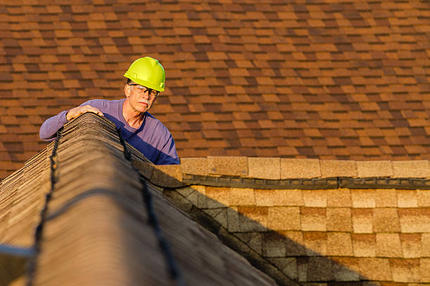 Best Roof Gutter Cleaning  in Juneau, AK